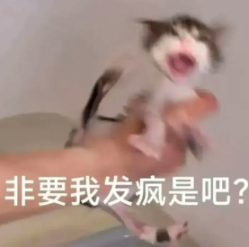 woniulab